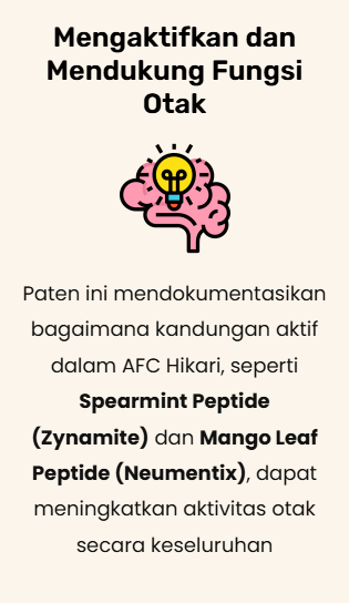 paten-hikari-m-2