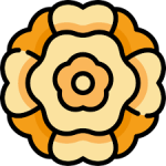 marigold